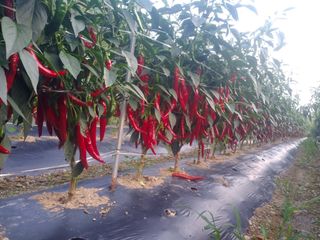 마정숙님의 연말결산 자랑하기 · 참여글 작성글 사진