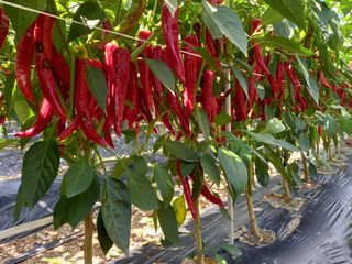 마정숙님의 연말결산 자랑하기 · 참여글 작성글 사진