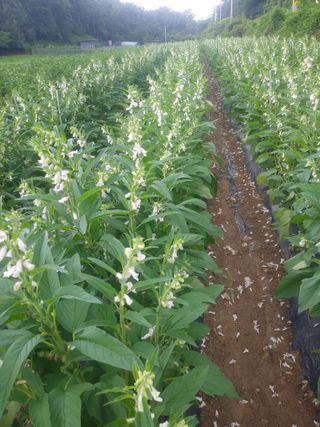 마정숙님의 연말결산 자랑하기 · 참여글 작성글 사진