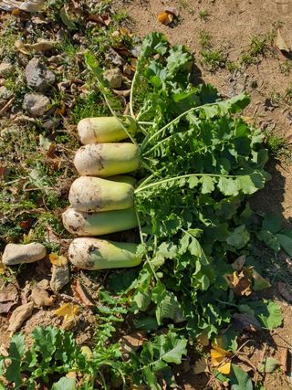 백년농원님의 연말결산 자랑하기 · 참여글 작성글 사진