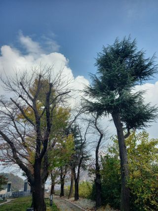생이님의 연말결산 자랑하기 · 참여글 작성글 사진