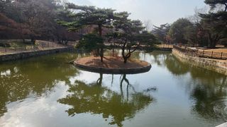 송희네 농장님의 자유주제 · 사진전 작성글 사진