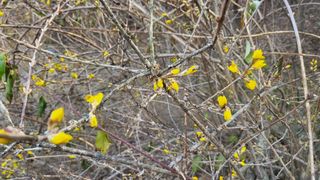 송희네 농장님의 자유주제 · 사진전 작성글 사진