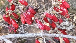 송희네 농장님의 자유주제 · 사진전 작성글 사진