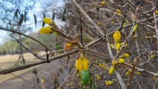 송희네 농장님의 자유주제 · 사진전 작성글 사진