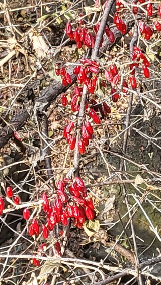 송희네 농장님의 자유주제 · 사진전 작성글 사진
