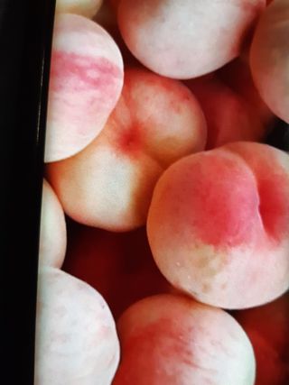 이명신님의 연말결산 자랑하기 · 참여글 작성글 사진