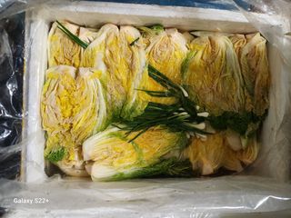 윤회 푸드닥터님의 우리동네 · 동네수다 작성글 사진