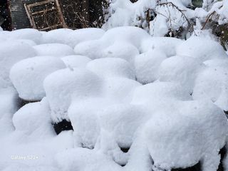 윤회 푸드닥터님의 우리동네 · 동네수다 작성글 사진