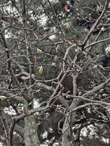 팜모닝 연말인사 함께 나눠요·참여글 게시글 이미지