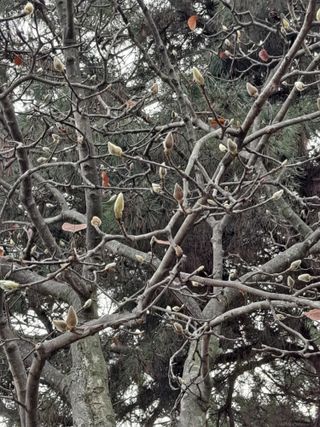 아로니아평화농장님의 연말인사 함께 나눠요 · 참여글 작성글 사진