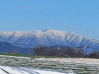 박린님의 우리동네 · 동네수다 작성글 사진