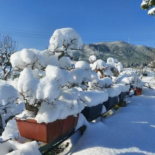 정길영님의 연말인사 함께 나눠요 · 참여글 작성글 사진