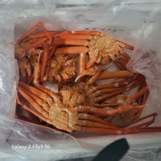 짱순이연속8월출석왕님의 장터이야기 · 자유게시판 작성글 사진