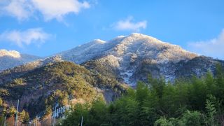 이규섭님의 블루베리 · 자유게시판 작성글 사진