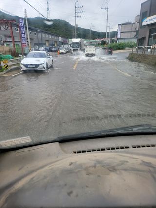 미소팜님의 팜모닝 · 출석 작성글 사진