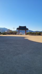 팜모닝 연말결산 자랑하기·참여글 게시글 이미지