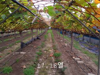 행복의집1592님의 연말인사 함께 나눠요 · 참여글 작성글 사진