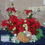 팜모닝 연말결산 자랑하기·참여글 게시글 이미지