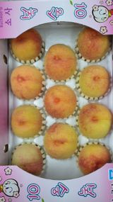 팜모닝 연말인사 함께 나눠요·참여글 게시글 이미지