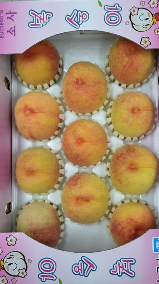 강동숙님의 연말인사 함께 나눠요 · 참여글 작성글 사진