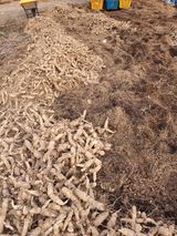 팜모닝 연말인사 함께 나눠요·참여글 게시글 이미지