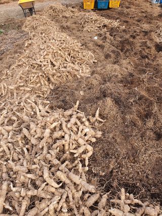 강원주님의 연말인사 함께 나눠요 · 참여글 작성글 사진