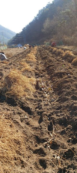 강원주님의 연말인사 함께 나눠요 · 참여글 작성글 사진