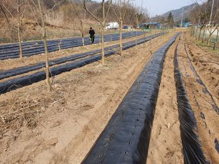 강원주님의 연말인사 함께 나눠요 · 참여글 작성글 사진