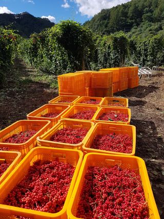 강원주님의 연말인사 함께 나눠요 · 참여글 작성글 사진