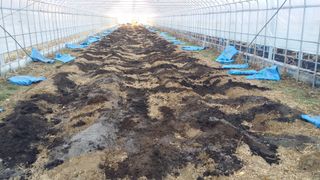 강원주님의 연말인사 함께 나눠요 · 참여글 작성글 사진