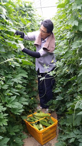 강원주님의 연말인사 함께 나눠요 · 참여글 작성글 사진