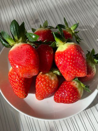 여우내 이순홍님의 자유주제 · 사진전 작성글 사진