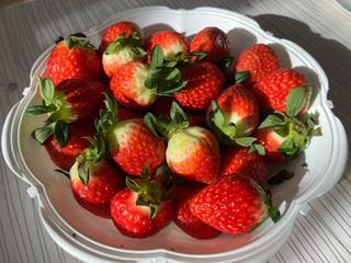 여우내 이순홍님의 자유주제 · 사진전 작성글 사진