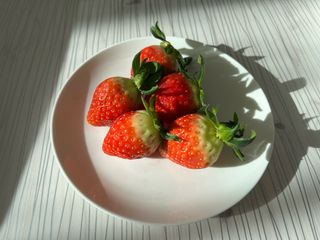 여우내 이순홍님의 자유주제 · 사진전 작성글 사진