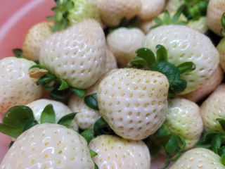 여우내 이순홍님의 자유주제 · 사진전 작성글 사진