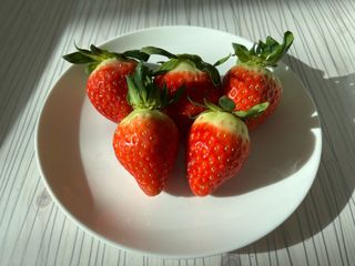 여우내 이순홍님의 자유주제 · 사진전 작성글 사진