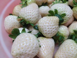 여우내 이순홍님의 자유주제 · 사진전 작성글 사진