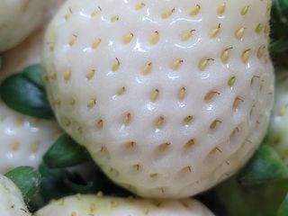 여우내 이순홍님의 자유주제 · 사진전 작성글 사진