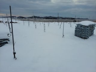 김민규님의 우리동네 · 동네수다 작성글 사진