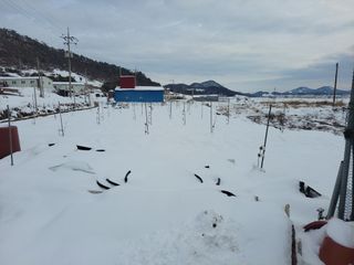 김민규님의 우리동네 · 동네수다 작성글 사진