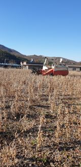 팜모닝 연말결산 자랑하기·참여글 게시글 이미지