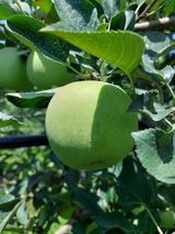 팜모닝 · 게시글 이미지