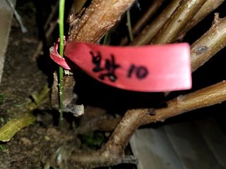 이양호님의 연말인사 함께 나눠요 · 참여글 작성글 사진