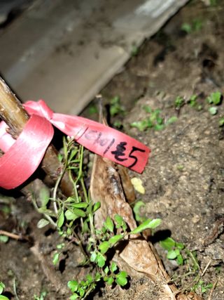 이양호님의 연말인사 함께 나눠요 · 참여글 작성글 사진