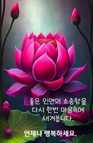 박번삼님의 연말인사 함께 나눠요 · 참여글 작성글 사진