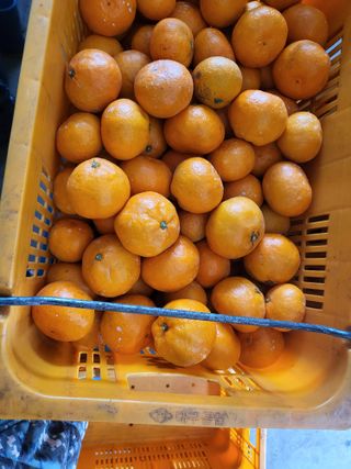 이윤진님의 장터이야기 · 자유게시판 작성글 사진