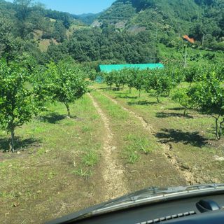 알 수 없음님의 연말결산 자랑하기 · 참여글 작성글 사진