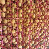 팜모닝 감·자유게시판 게시글 이미지