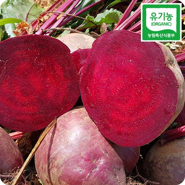 장터 상품 [해남 레드비트3kg ] 썸네일